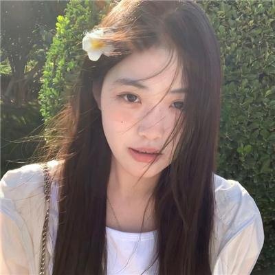 神鹰之拳